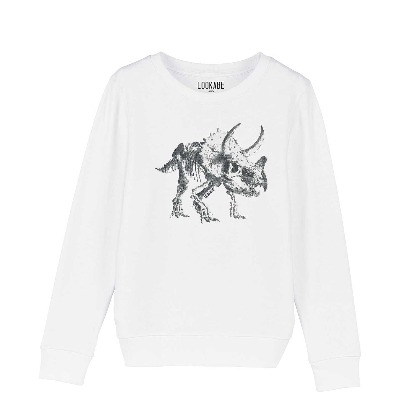 Sweatshirt "Dinosaurus"